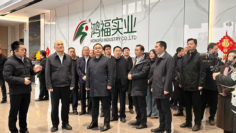 感受发展“加速度”，衡阳市领导深入衡山县重大项目草莓视频网址实业现场